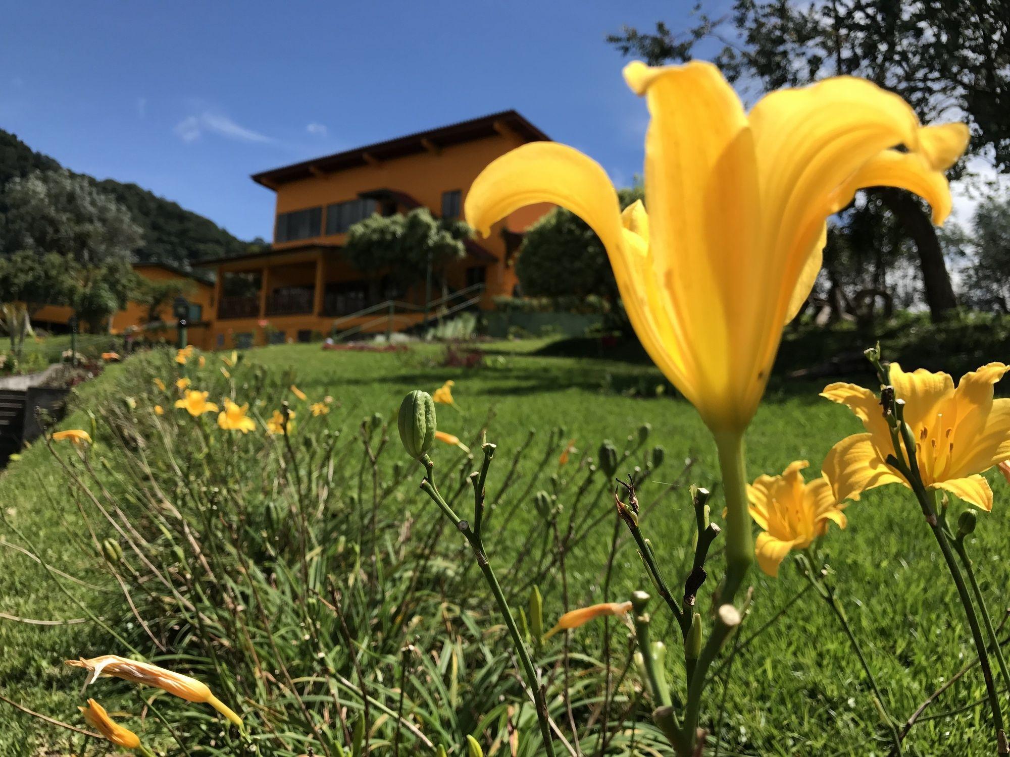 Santuario Lodge Agro-Hotel Boquete Kültér fotó